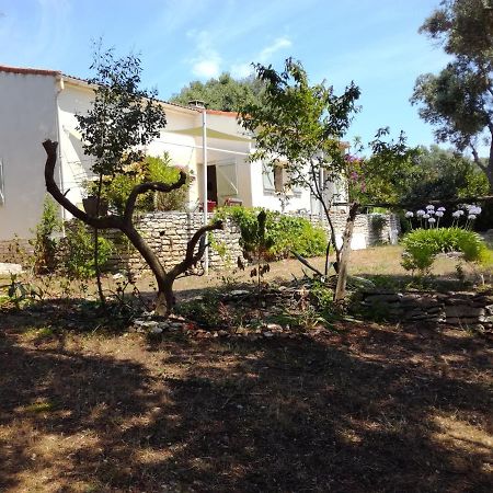 Bonifacio, Maison 90M² Sous Les Oliviers, Vue Sardaigne Bonifacio  Exterior photo