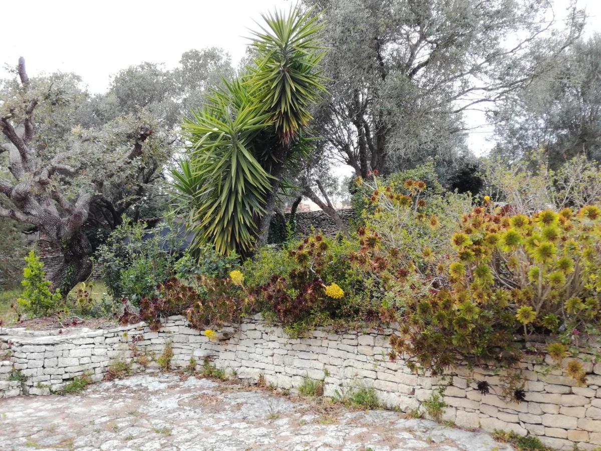 Bonifacio, Maison 90M² Sous Les Oliviers, Vue Sardaigne Bonifacio  Exterior photo